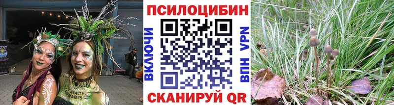 OMG зеркало  Лакинск  Псилоцибиновые грибы Cubensis 